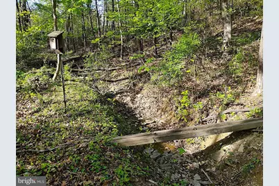 187 Sunny Meadow Place, Berkeley Springs, WV 25411 - Photo 77