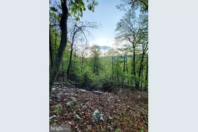 Lot 7 Justin Lane, Great Cacapon, WV 25422 - Photo 15