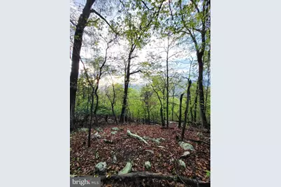 Lot 7 Justin Lane, Great Cacapon, WV 25422 - Photo 3