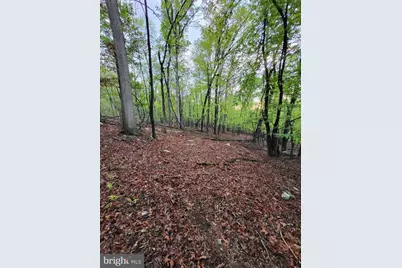 Lot 7 Justin Lane, Great Cacapon, WV 25422 - Photo 9