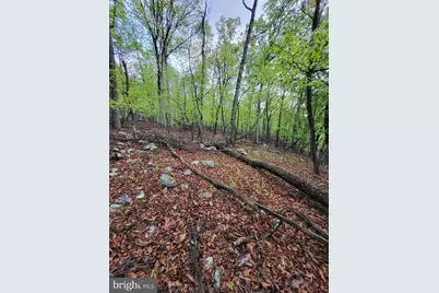Lot 7 Justin Lane, Great Cacapon, WV 25422 - Photo 11
