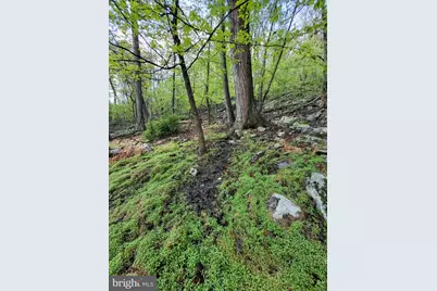 Lot 7 Justin Lane, Great Cacapon, WV 25422 - Photo 7