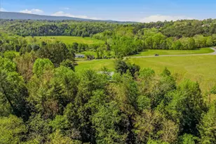254 Old Mill Manor Dr, Berkeley Springs, WV 25411 - Photo 45