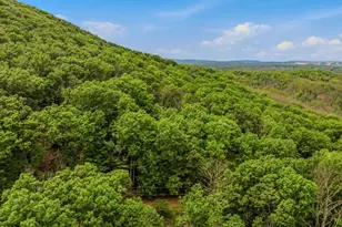 98 Ore Trail, Berkeley Springs, WV 25411 - Photo 39