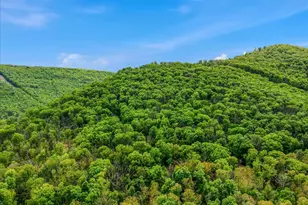 98 Ore Trail, Berkeley Springs, WV 25411 - Photo 29