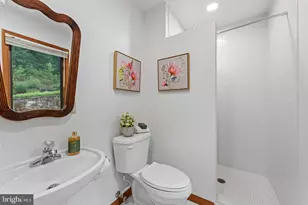 310 Red Gate Retreat Way, Berkeley Springs, WV 25411 - Photo 63