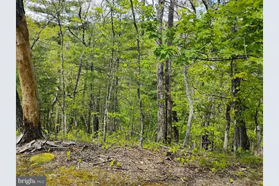 Sir Johns Run Rd, Berkeley Springs, WV 25411 - Photo 71