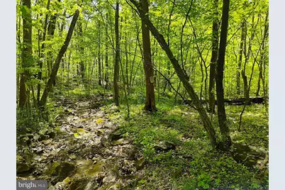 Sir Johns Run Rd, Berkeley Springs, WV 25411 - Photo 1