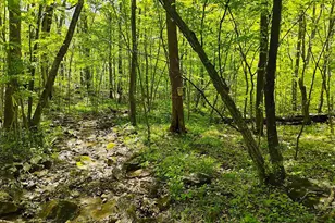 Sir Johns Run Rd, Berkeley Springs, WV 25411 - Photo 1