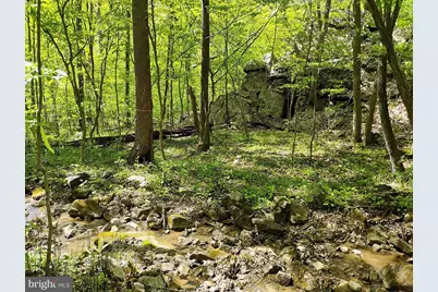 Sir Johns Run Rd, Berkeley Springs, WV 25411 - Photo 3