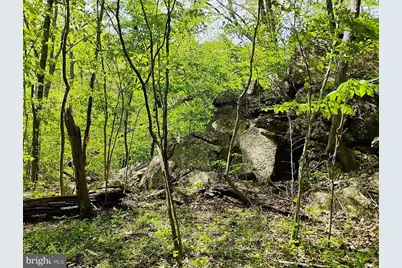 Sir Johns Run Rd, Berkeley Springs, WV 25411 - Photo 33