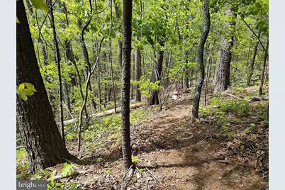 Sir Johns Run Rd, Berkeley Springs, WV 25411 - Photo 19
