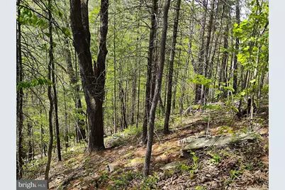 Sir Johns Run Rd, Berkeley Springs, WV 25411 - Photo 59