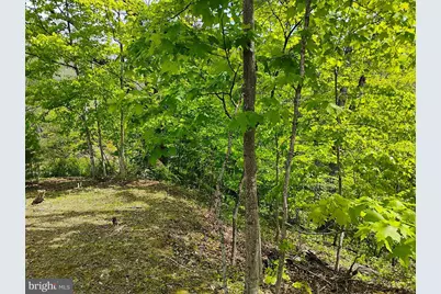 Sir Johns Run Rd, Berkeley Springs, WV 25411 - Photo 75