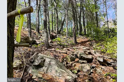Sir Johns Run Rd, Berkeley Springs, WV 25411 - Photo 51