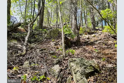 Sir Johns Run Rd, Berkeley Springs, WV 25411 - Photo 49