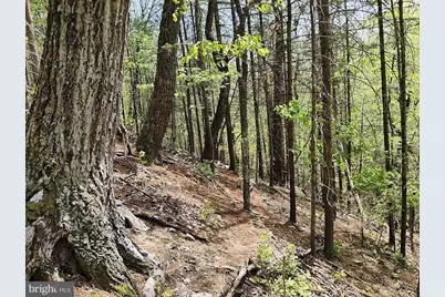 Sir Johns Run Rd, Berkeley Springs, WV 25411 - Photo 21
