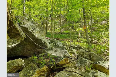 Sir Johns Run Rd, Berkeley Springs, WV 25411 - Photo 31