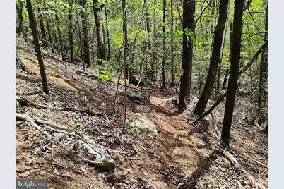 Sir Johns Run Rd, Berkeley Springs, WV 25411 - Photo 23