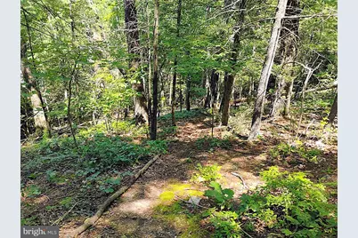Sir Johns Run Rd, Berkeley Springs, WV 25411 - Photo 17