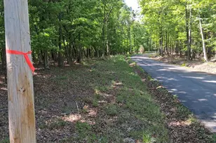 Lot 1 Youngblood Rd, Great Cacapon, WV 25422 - Photo 1