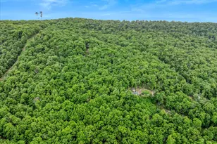 599 Breathless Way, Berkeley Springs, WV 25411 - Photo 53