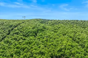599 Breathless Way, Berkeley Springs, WV 25411 - Photo 47