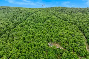 599 Breathless Way, Berkeley Springs, WV 25411 - Photo 51