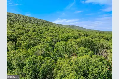 122 Honey Locust Lane, Great Cacapon, WV 25422 - Photo 41