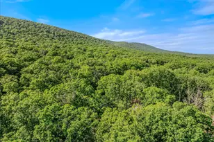 122 Honey Locust Ln, Great Cacapon, WV 25422 - Photo 41