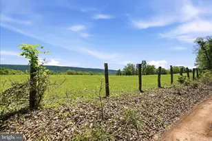 1909 Spohrs Rd, Berkeley Springs, WV 25411 - Photo 11