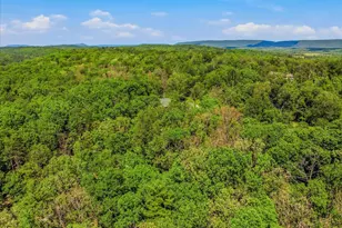 711 Cannon Dr, Berkeley Springs, WV 25411 - Photo 63