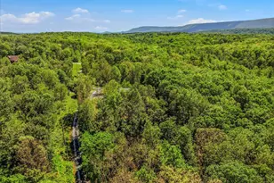 711 Cannon Dr, Berkeley Springs, WV 25411 - Photo 61