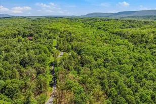 711 Cannon Dr, Berkeley Springs, WV 25411 - Photo 69