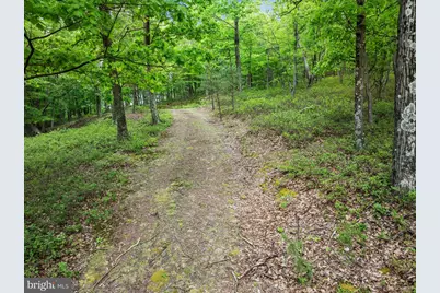 651 Breathless Way, Berkeley Springs, WV 25411 - Photo 3
