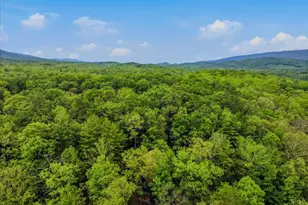 560 Moss Ln, Great Cacapon, WV 25422 - Photo 53