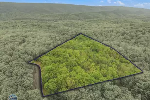 560 Moss Ln, Great Cacapon, WV 25422 - Photo 61