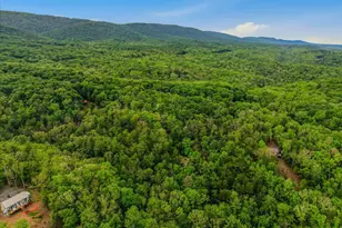 560 Moss Ln, Great Cacapon, WV 25422 - Photo 59