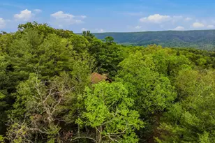 560 Moss Ln, Great Cacapon, WV 25422 - Photo 45