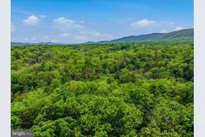 560 Moss Lane, Great Cacapon, WV 25422 - Photo 49