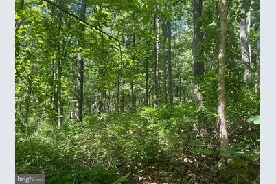 Cold Run Valley Road, Berkeley Springs, WV 25411 - Photo 7