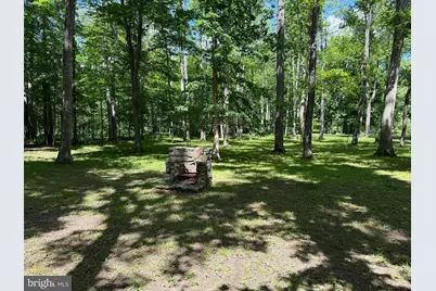 Sideling Mountain Trail- Lot 64 and 65, Great Cacapon, WV 25422 - Photo 29