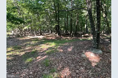 Lot 56 Parkside Drive, Berkeley Springs, WV 25411 - Photo 5