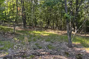 Lot 56 Parkside Dr, Berkeley Springs, WV 25411 - Photo 1