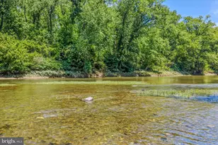 900 Joshua Ln, Berkeley Springs, WV 25411 - Photo 55