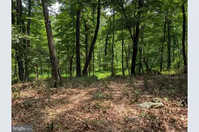 Sir Johns Run Road, Berkeley Springs, WV 25411 - Photo 5