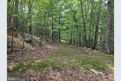Sir Johns Run Road, Berkeley Springs, WV 25411 - Photo 7