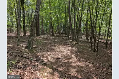 Sir Johns Run Road, Berkeley Springs, WV 25411 - Photo 13