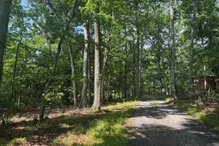 133 Pepper Ln, Great Cacapon, WV 25422 - Photo 3
