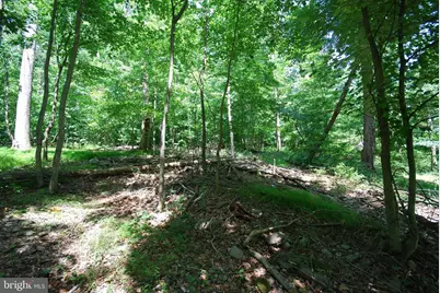Lot 12 Feather Bed Lane, Hedgesville, WV 25427 - Photo 27